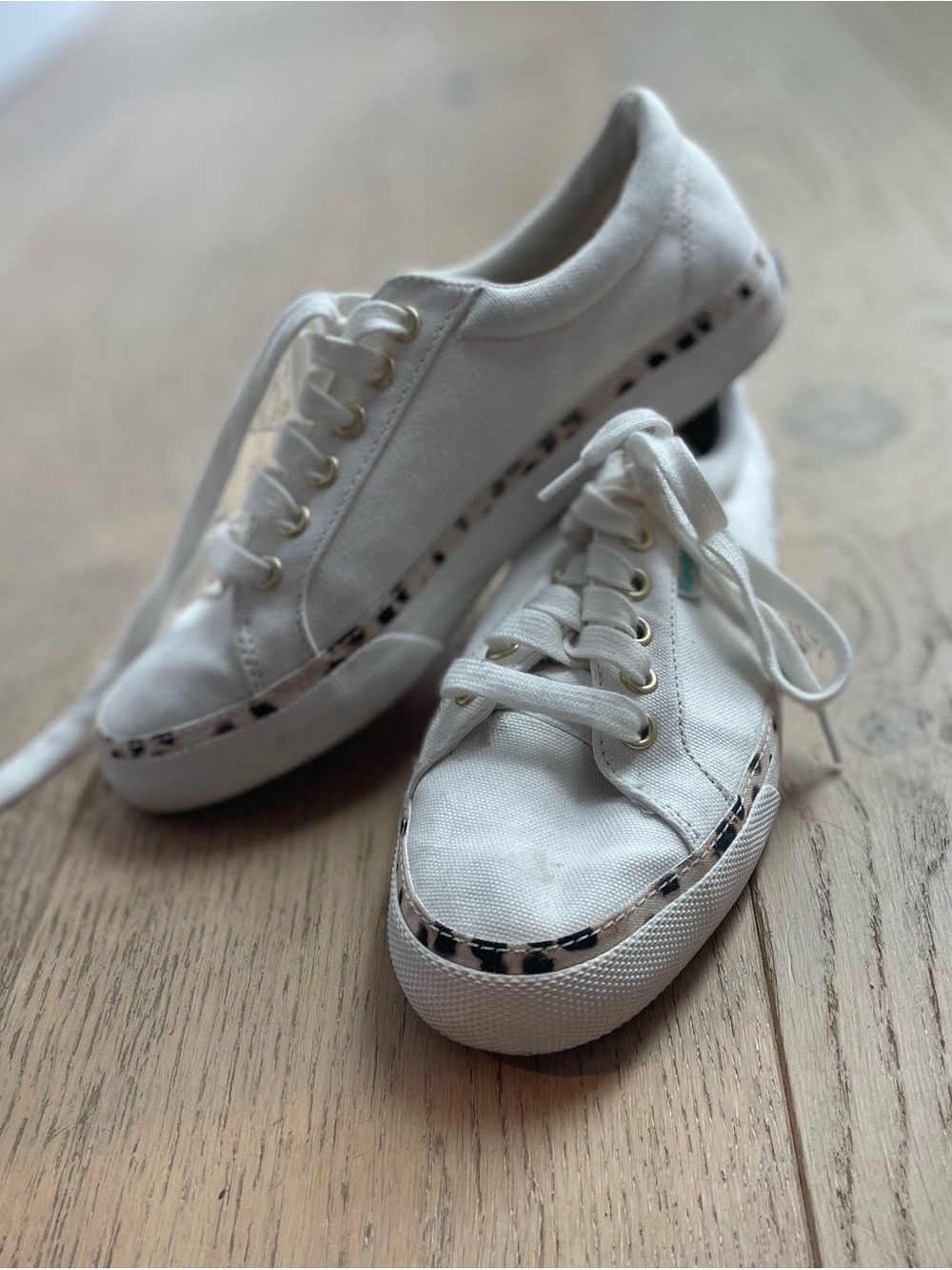 Keds White Canvas Sneakers with Leopard Trim